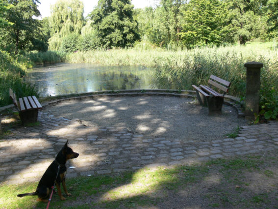Teichronde01